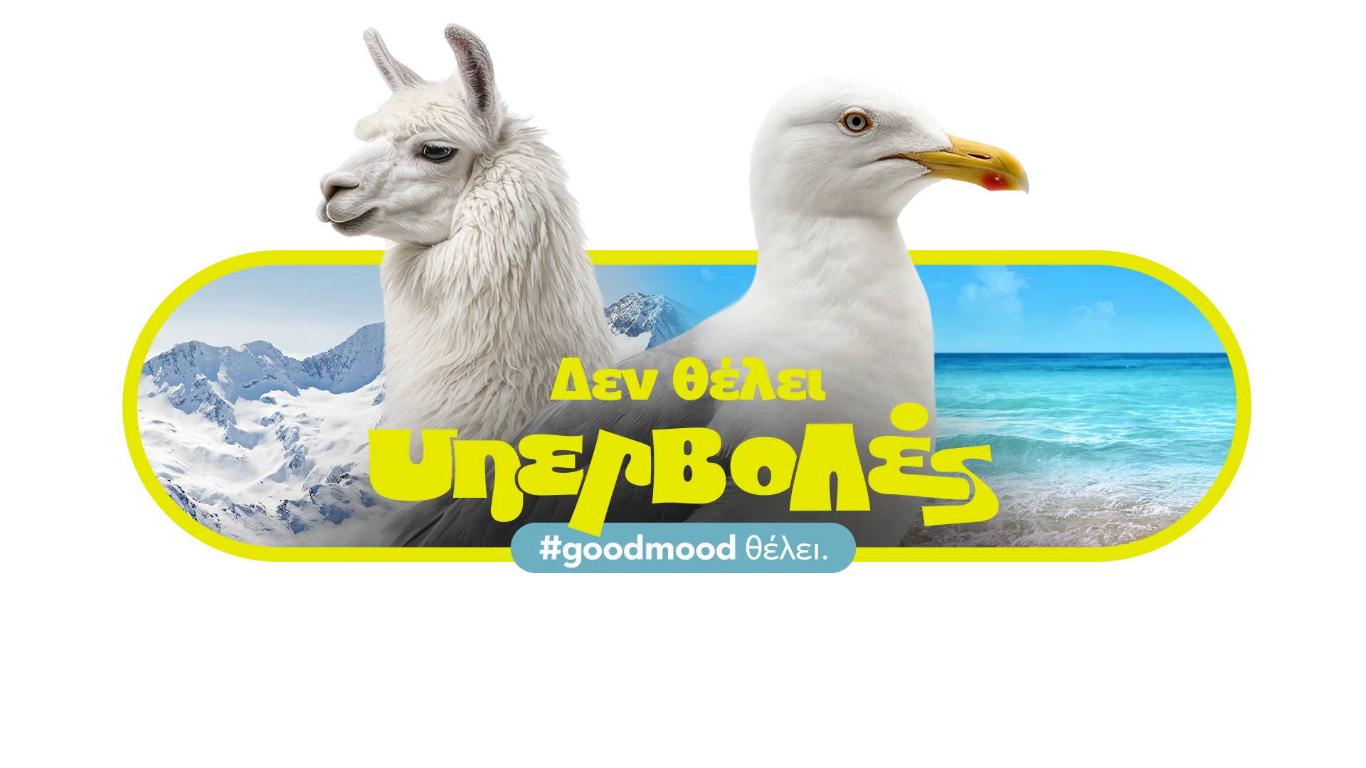 Llama and seagull – Endless #goodmood mascots